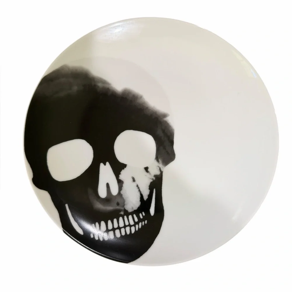 Crate & Barrel Skull X-ray Plates
